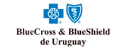 bcbsu Logo